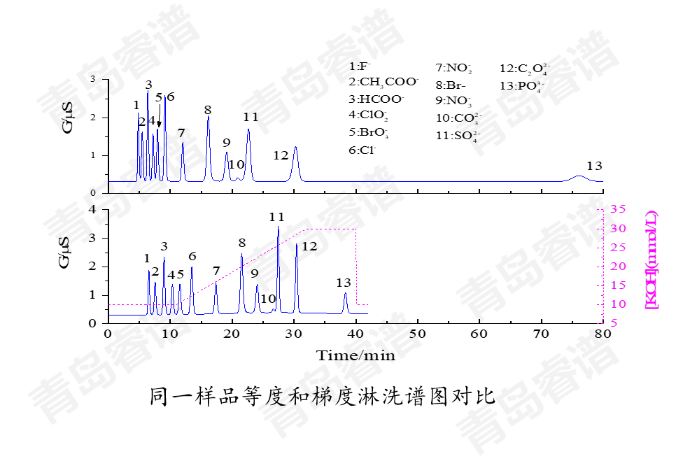 RPIC-2017离子色谱标配动态量程电导检测器WLK-8免维护抑制器离子色谱柱