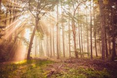 或者是个性鲜明、不随波