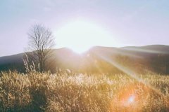 <strong>在极小的克重下呈现出饱</strong>