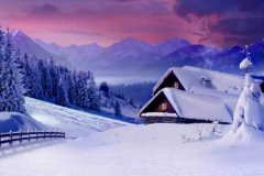 这一品类的核心在于“传